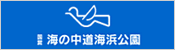 海の中道海浜公園（新しいウィンドウ）